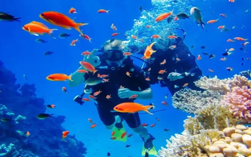 Scuba Diving in Hurghada